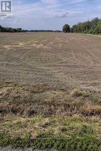 Pt 12 Crown Road, West Lincoln (Bismark/Wellandport), ON 