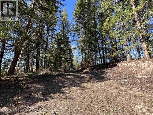 4793 S 97 Highway, Quesnel, BC - Outdoor With View