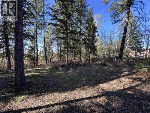4793 S 97 Highway, Quesnel, BC - Outdoor With View