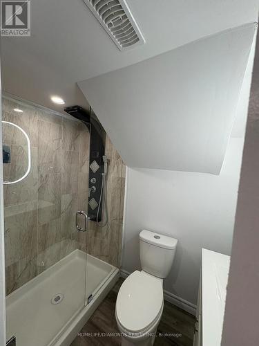 Lower - 111 Explorer Way, Thorold, ON - Indoor Photo Showing Bathroom