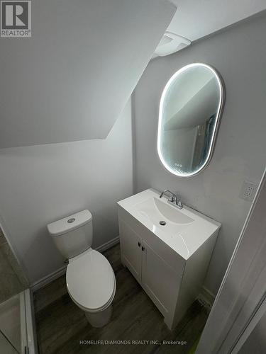 Lower - 111 Explorer Way, Thorold, ON - Indoor Photo Showing Bathroom