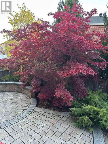 3071 Jenn Avenue, Burlington, ON - Outdoor