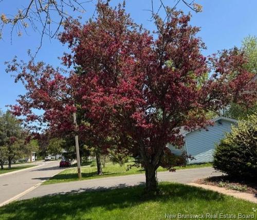 6 Killarney Rd, Riverview, NB 