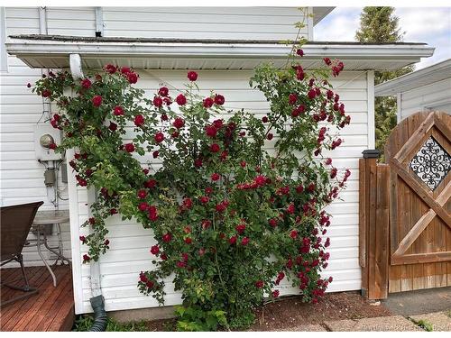 6 Killarney Rd, Riverview, NB 