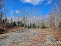 Lot Highway 3, White Point, NS 