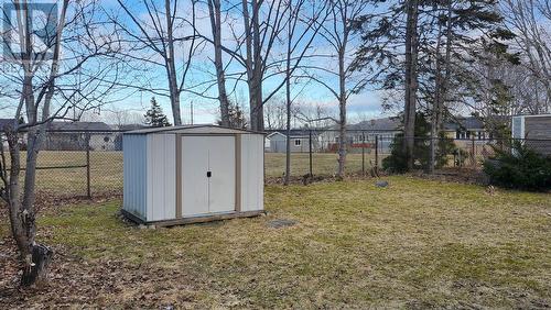 10 Laughlin Crescent, St. John'S, NL - Outdoor