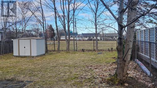 10 Laughlin Crescent, St. John'S, NL - Outdoor
