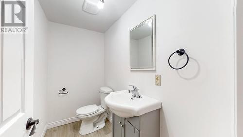 10 Laughlin Crescent, St. John'S, NL - Indoor Photo Showing Bathroom