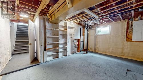 10 Laughlin Crescent, St. John'S, NL - Indoor Photo Showing Basement