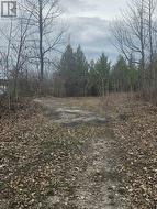 4166 MARLBANK ROAD Tweed (Hungerford (Twp)), ON K0K 3J0