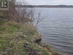 4166 MARLBANK ROAD Tweed (Hungerford (Twp)), ON K0K 3J0