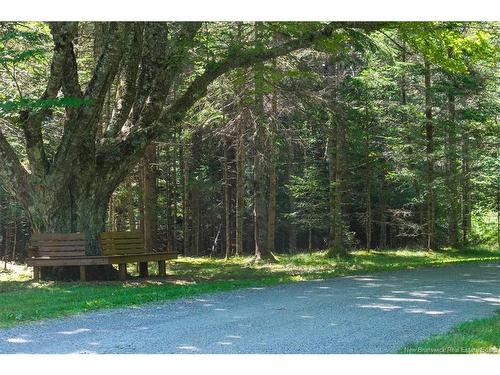 01 Bayview Blvd, Chamcook, NB - Outdoor