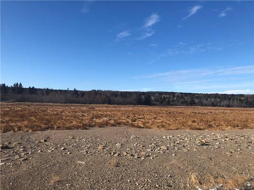 Lot 23-1 Route 114, Hopewell Hill, NB 