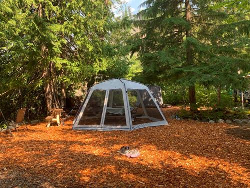 523 Rosebery Loop Road, Rosebery, BC - Outdoor