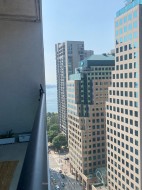 2313-33 Bay Street  Toronto, ON M5J 2Z3