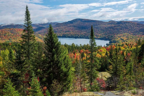 Vue d'ensemble - Ch. Des Aigles, Mont-Blanc, QC 