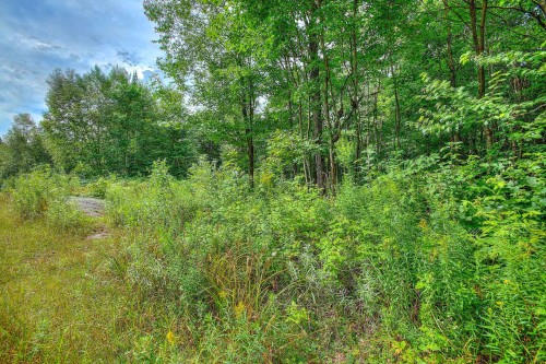 Vue d'ensemble - Ch. Des Aigles, Mont-Blanc, QC 