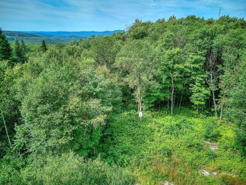 Vue d'ensemble - Ch. Des Aigles, Mont-Blanc, QC 