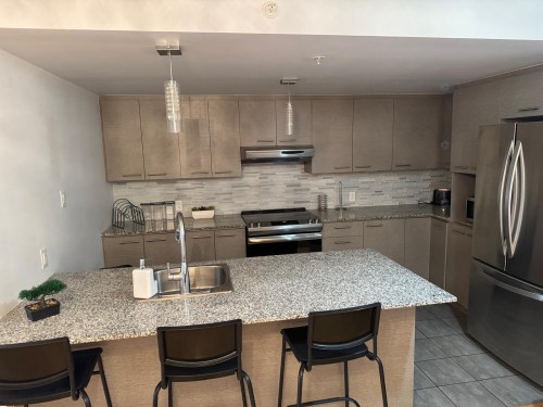 Kitchen - 201-10150 Boul. De L'Acadie, Montréal (Ahuntsic-Cartierville), QC - Indoor Photo Showing Kitchen With Double Sink With Upgraded Kitchen