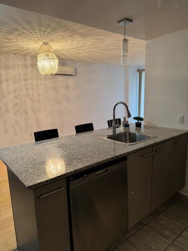 Kitchen - 201-10150 Boul. De L'Acadie, Montréal (Ahuntsic-Cartierville), QC - Indoor Photo Showing Kitchen