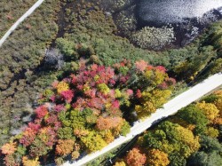 825 Ch. du Fort  Val-Des-Monts, QC J8N 1A3