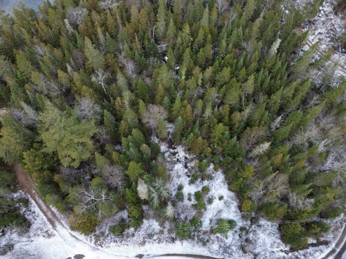 Boisé - Rg St-Vincent, Sainte-Béatrix, QC 