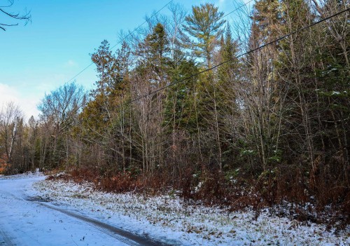 Boisé - Rg St-Vincent, Sainte-Béatrix, QC 