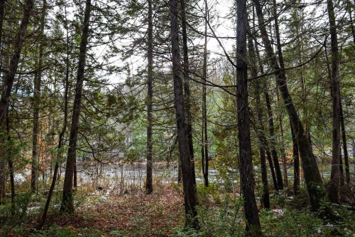 Bord de l'eau - Rg St-Vincent, Sainte-Béatrix, QC 