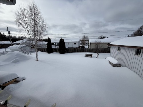 Cour - 11 Rue Léonard S., Béarn, QC - Outdoor
