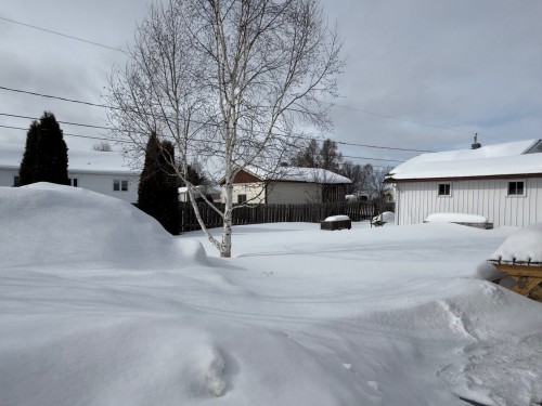 Cour - 11 Rue Léonard S., Béarn, QC - Outdoor