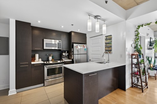 Cuisine - 806-1045 Rue Wellington, Montréal (Le Sud-Ouest), QC - Indoor Photo Showing Kitchen With Double Sink