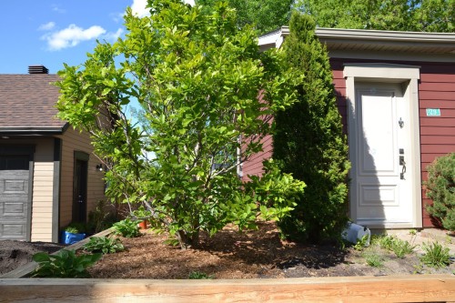 Vue d'ensemble - 29 Rue Du Couvent, Saint-Simon, QC - Outdoor