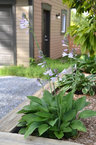 Autre - 29 Rue Du Couvent, Saint-Simon, QC - Outdoor