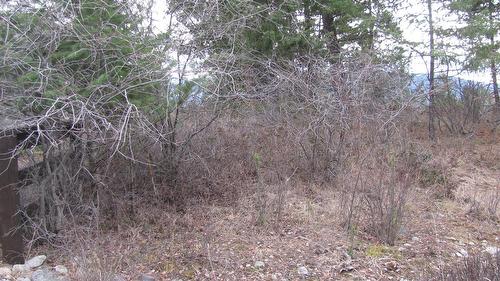 Crown Crescent, Vernon, BC - Outdoor With View