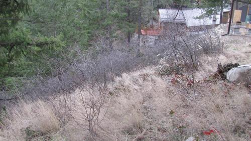 Crown Crescent, Vernon, BC - Outdoor
