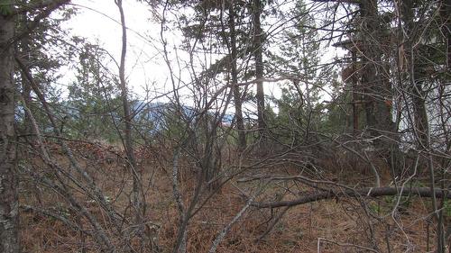 Crown Crescent, Vernon, BC - Outdoor With View