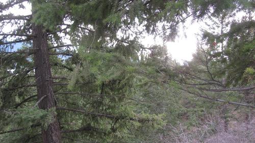 Crown Crescent, Vernon, BC - Outdoor With View