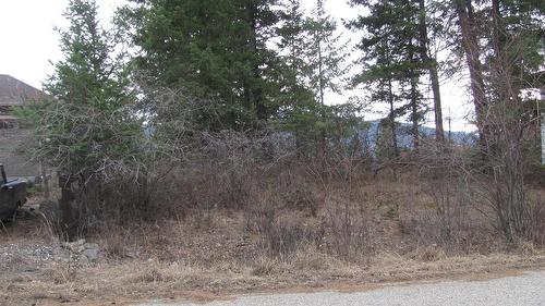 Crown Crescent, Vernon, BC - Outdoor With View