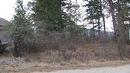 Crown Crescent, Vernon, BC  - Outdoor With View 