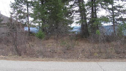 Crown Crescent, Vernon, BC - Outdoor With View