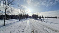 7663 17 Route  Kedgwick, NB E8B 1W4