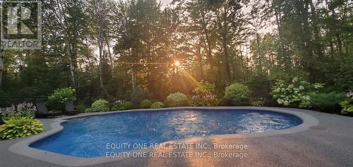 133 Arbourbrook Boulevard, Ottawa, ON - Outdoor With In Ground Pool