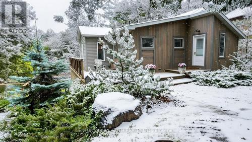 8101 KINGS RIVER ROAD  Ramara, ON L0K 2B0