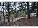 2835 Silver King Road, Nelson, BC 