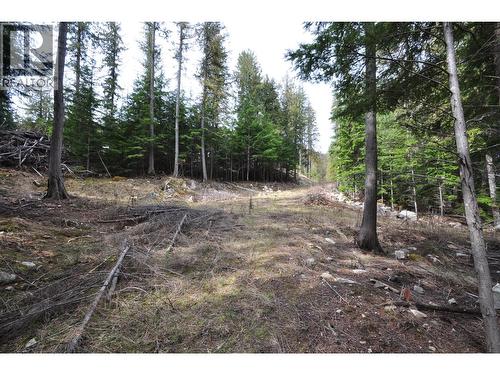 2835 Silver King Road, Nelson, BC 