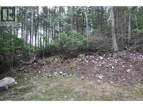 2835 Silver King Road, Nelson, BC 
