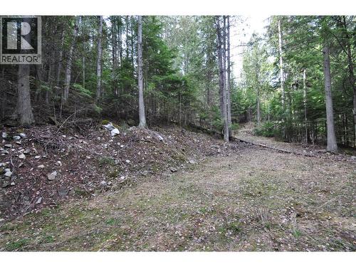 2835 Silver King Road, Nelson, BC 
