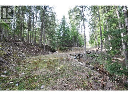 2835 Silver King Road, Nelson, BC 