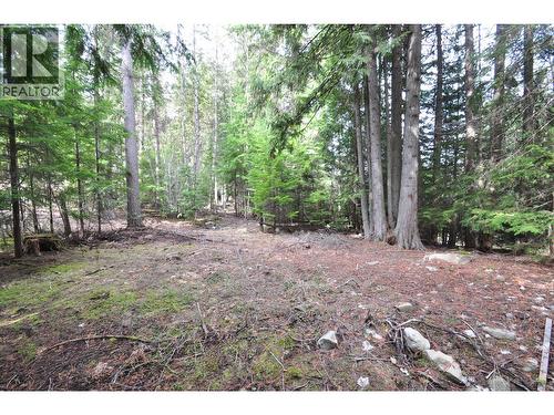 2835 Silver King Road, Nelson, BC 