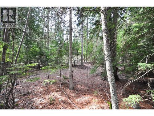 2835 Silver King Road, Nelson, BC 